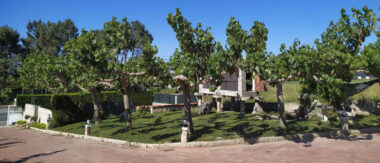 Vista de la finca exterior