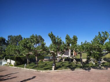 Vista de la finca exterior
