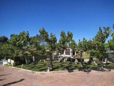 Vista de la finca exterior