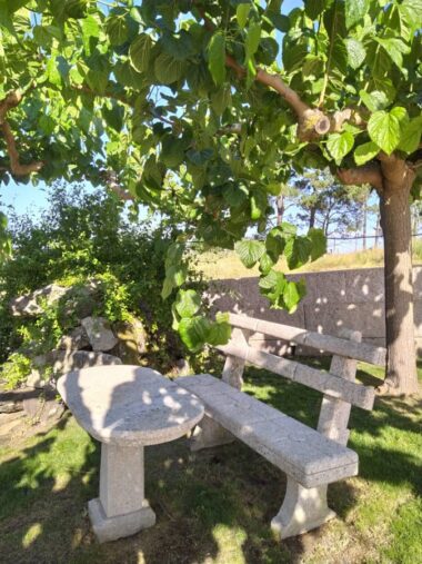 Vista de la finca exterior