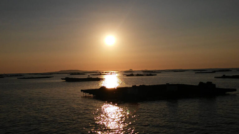 Puesta de sol sobre las bateas