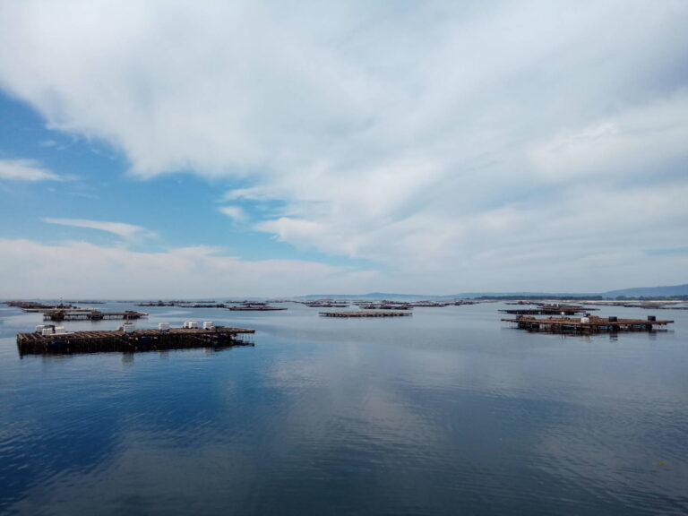Vista de parque de bateas de mejillón