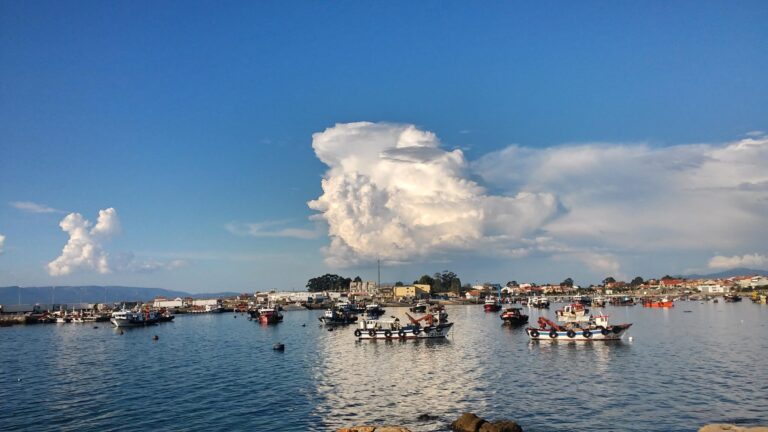 Vista de Porto Meloxo